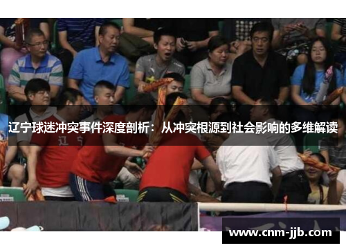 辽宁球迷冲突事件深度剖析：从冲突根源到社会影响的多维解读
