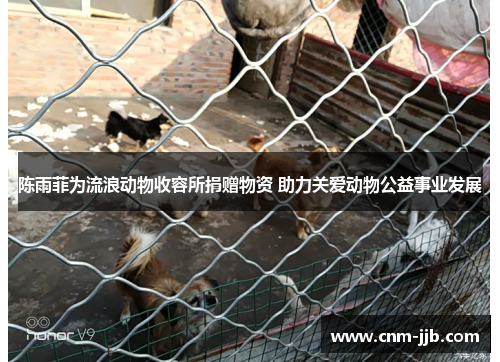 陈雨菲为流浪动物收容所捐赠物资 助力关爱动物公益事业发展 陈雨菲为流浪动物收容所捐赠物资 助力关爱动物公益事业发展