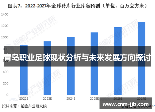 青岛职业足球现状分析与未来发展方向探讨