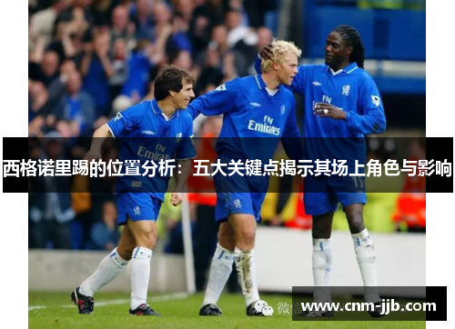 西格诺里踢的位置分析:五大关键点揭示其场上角色与影响 西格诺里踢的位置分析:五大关键点揭示其场上角色与影响