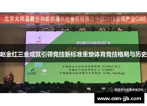 赵金红三金成就引领竞技新标准重塑体育竞技格局与历史 赵金红三金成就引领竞技新标准重塑体育竞技格局与历史